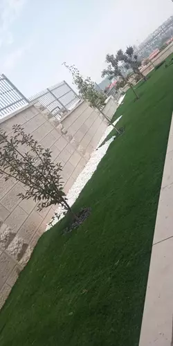 תכנון והקמת גינה